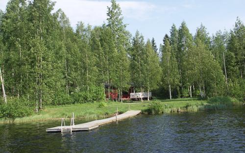 pic-2.jpg